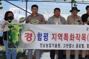 ‘함평 샤인머스켓’ 베트남 첫 수출…세계로 ‘훨훨’